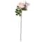 12 Pack: Light Pink English Rose Stem by Ashland®